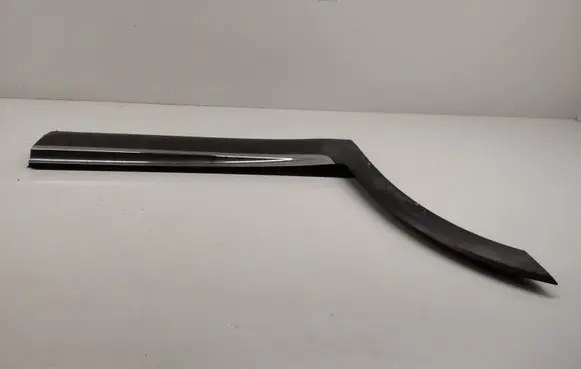 Rear door trim (molding)