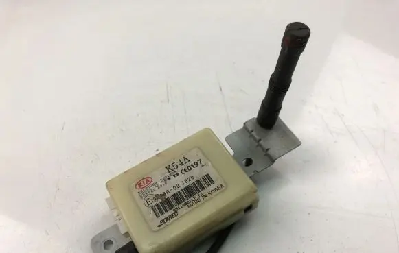KIA Carnival Other control units/modules 10R021820