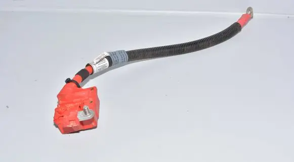 BMW X6 E71 Positive cable (battery) 9204964