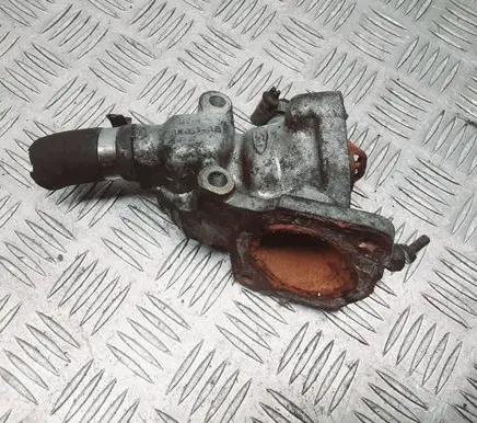 Thermostat/thermostat housing