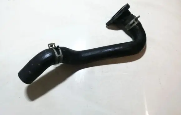 Nissan Micra Engine coolant pipe/hose 11060bx000