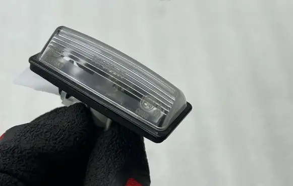 Nissan Leaf II (ZE1) Number plate light A098009
