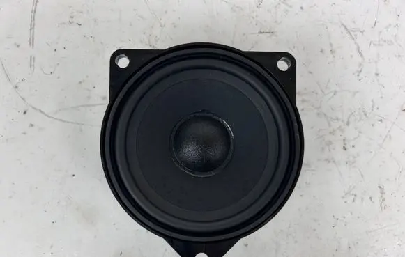 BMW X6 M Front door speaker 9151864 430407859841