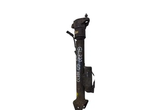 Mercedes-Benz GL X164 Rear shock absorber/damper