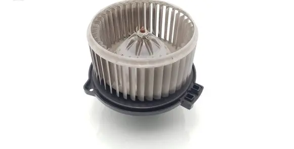 Heater fan/blower