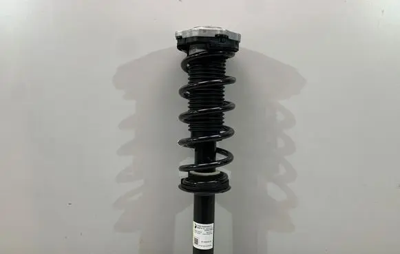 BMW X4 G02 Rear shock absorber/damper 6890945