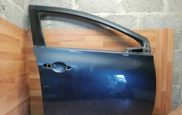 Renault Zoe Front door 801003119R 801004005R