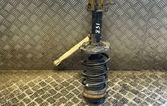 Opel Zafira B Front shock absorber/damper 22229593