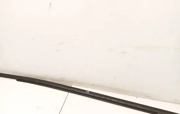KIA Optima Rear door glass trim molding 