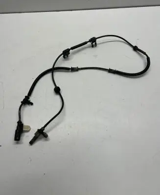 Ford F150 Rear ABS sensor wiring F00C1G0057