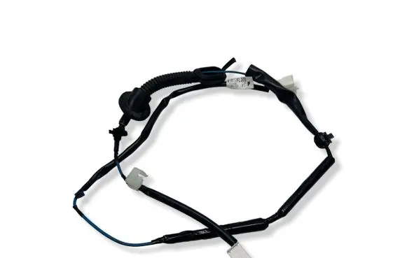 Camera wiring loom