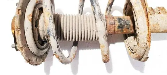 Front coil spring
