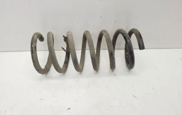 Chevrolet Captiva Rear coil spring