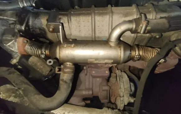 EGR valve cooler