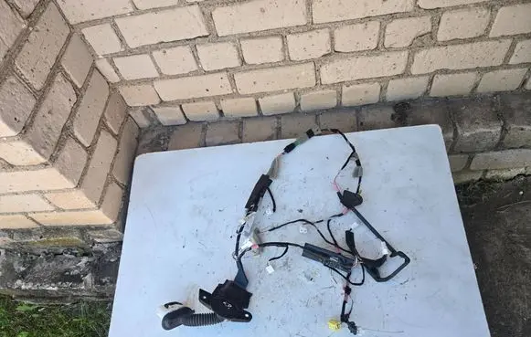Toyota Prius (XW50) Front door wiring loom 8215247800 AB15747790
