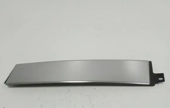 Chrysler 300 - 300C Front door trim (molding)