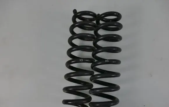 BMW X1 E84 Rear coil spring