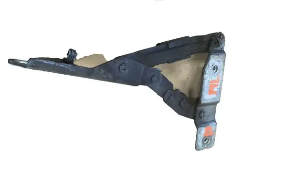 Seat Altea Engine bonnet/hood hinges 5P0823302