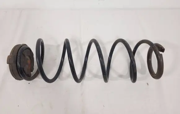 Rear coil spring