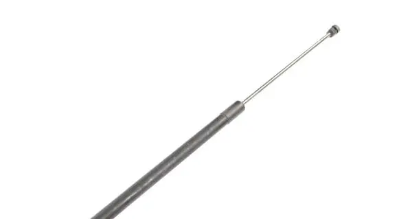 Tailgate/trunk strut/damper