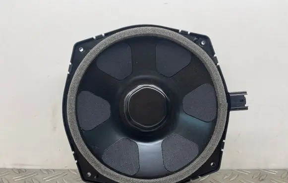 Land Rover Range Rover Sport L494 Front door speaker CPLA18808DA
