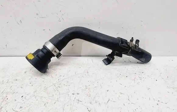Dacia Sandero Oil cooling pipe 118262542R