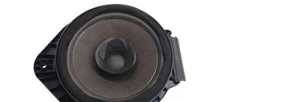 Opel Mokka Rear door speaker 23206190
