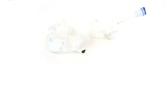 Ford Ecosport Windshield washer fluid reservoir/tank GN1517B613FB
