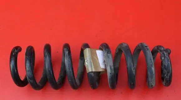 Rear coil spring