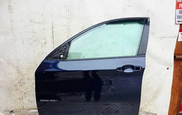 BMW X6 E71 Front door 