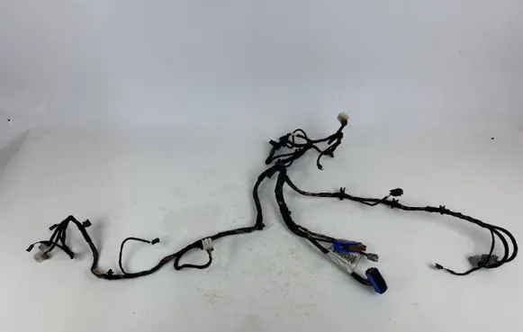 Maserati Levante Panel wiring 06700381060