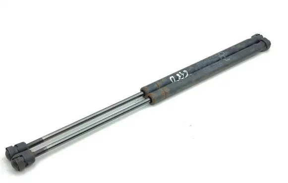 Tailgate/trunk strut/damper