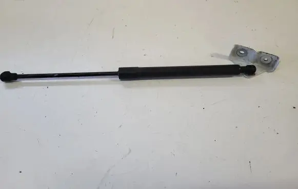 Renault Zoe Tailgate/trunk strut/damper 904502915R