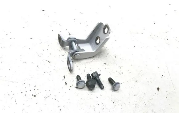Honda e:Ny1 Rear door lower hinge 4NRLL VRF