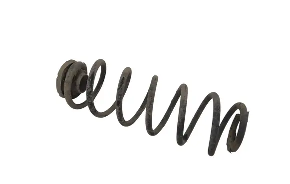 Rear coil spring