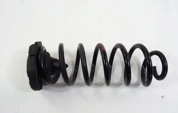 Nissan Qashqai Rear coil spring 550324EA0A