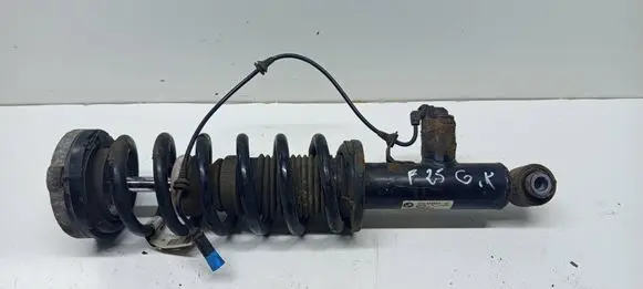 BMW X3 F25 Rear shock absorber with coil spring 6799911 108176 E25H086V