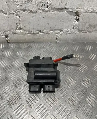 BMW X5 F15 Positive wiring loom 928550305
