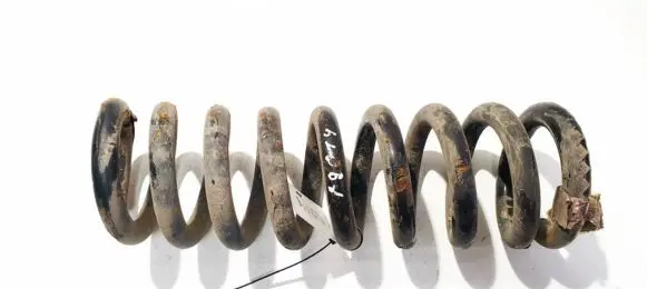 Dodge Magnum Rear coil spring 04895325ac