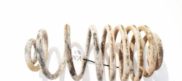 Renault Kangoo II Rear coil spring