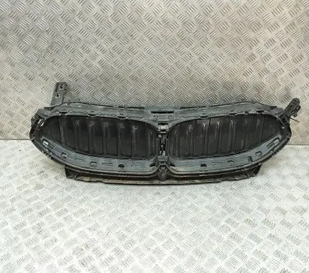 BMW 8 G14 Front grill 9881646 5811R1001
