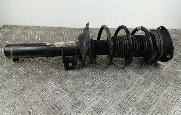 Cupra Formentor Front shock absorber with coil spring 5WA413042D