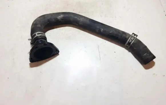Nissan Micra Engine coolant pipe/hose 11060BX000