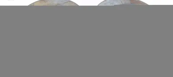 Volvo S60 Front brake disc