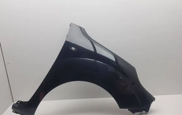Renault Kangoo II Fender 631003601R