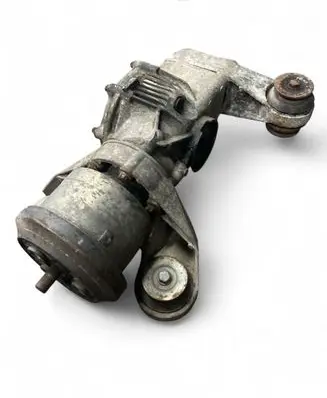 Renault Scenic I Rear differential J641340041