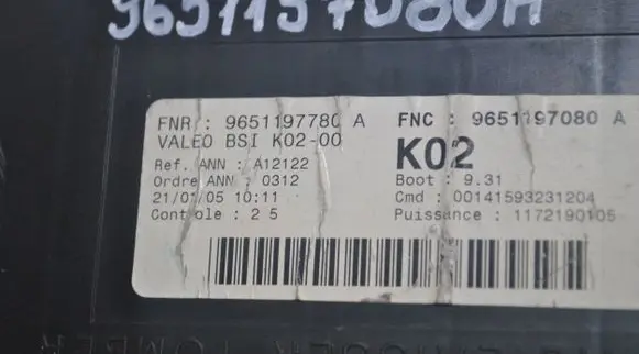 Peugeot 307 Fuse module 9651197080A