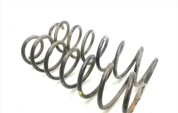 Rear coil spring