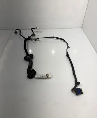 Rear door wiring loom