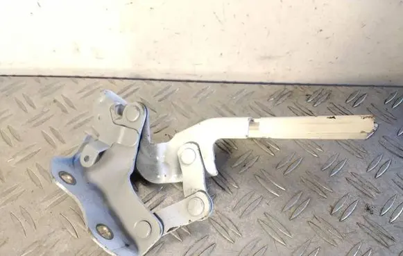 Lexus RC Engine bonnet/hood hinges 